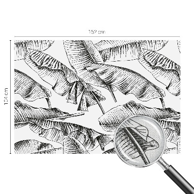 Fototapeta na ścianę Fototapeta na ścianę