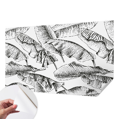 Fototapeta na ścianę Fototapeta na ścianę