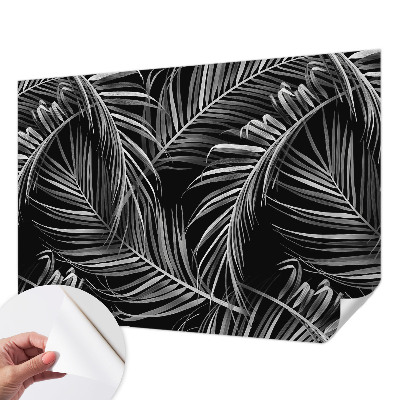 Tapeta fotograficzna Tapeta fotograficzna