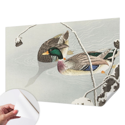 Tapeta fotograficzna Spokojne kaczki