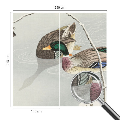 Tapeta fotograficzna z motywem spokojnych kaczek