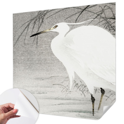 Tapeta fotograficzna Tapeta fotograficzna