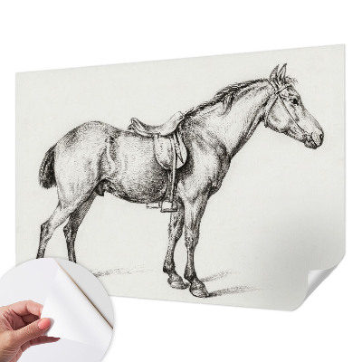 Fototapeta na ścianę Fototapeta na ścianę