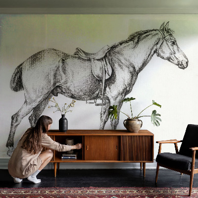 Fototapeta na ścianę Fototapeta na ścianę