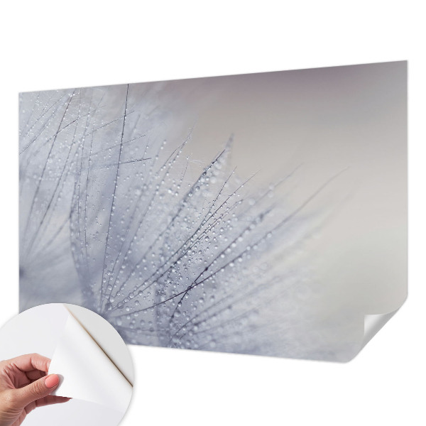 Tapeta fotograficzna samoprzylepna z motywem dmuchawca
