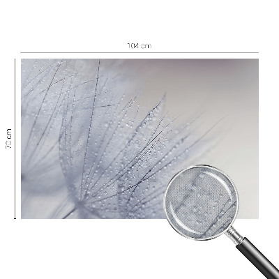 Tapeta fotograficzna samoprzylepna z motywem dmuchawca