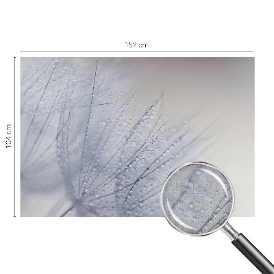 Tapeta fotograficzna samoprzylepna z motywem dmuchawca