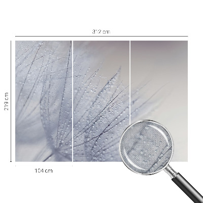 Tapeta fotograficzna samoprzylepna z motywem dmuchawca