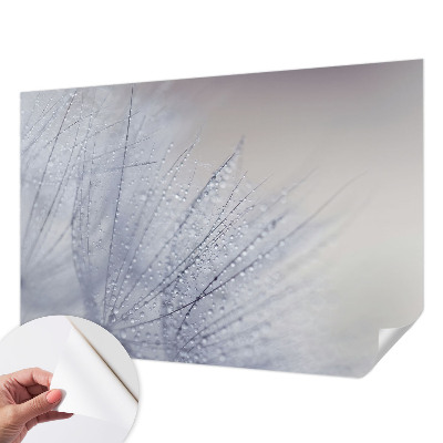 Tapeta fotograficzna samoprzylepna z motywem dmuchawca