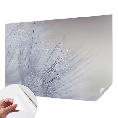 Tapeta fotograficzna samoprzylepna z motywem dmuchawca