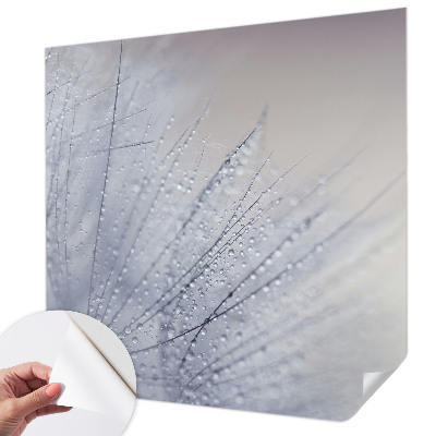 Tapeta fotograficzna samoprzylepna z motywem dmuchawca