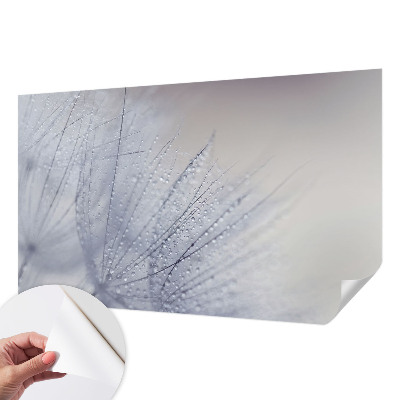 Tapeta fotograficzna samoprzylepna z motywem dmuchawca