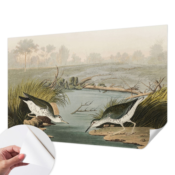 Tapeta fotograficzna Tapeta fotograficzna