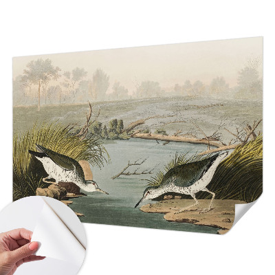 Tapeta fotograficzna Tapeta fotograficzna