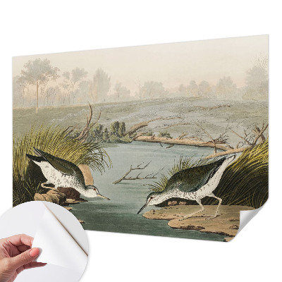 Tapeta fotograficzna Tapeta fotograficzna