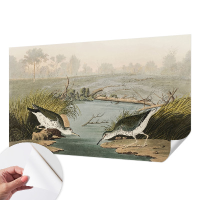 Tapeta fotograficzna Tapeta fotograficzna