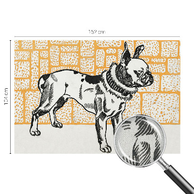 Dekoracyjna fototapeta na ścianę Dekoracyjna fototapeta na ścianę