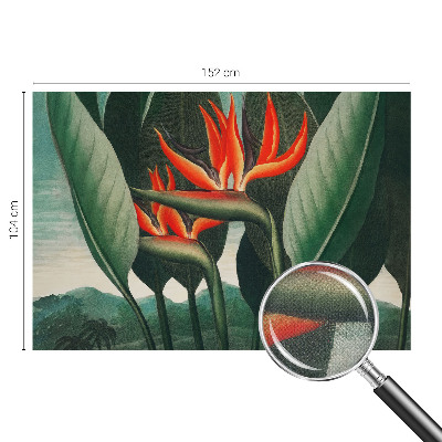 Dekoracyjna fototapeta na ścianę Dekoracyjna fototapeta na ścianę