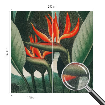 Dekoracyjna fototapeta na ścianę Dekoracyjna fototapeta na ścianę