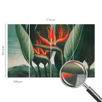 Dekoracyjna fototapeta na ścianę Dekoracyjna fototapeta na ścianę