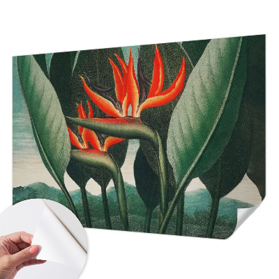 Dekoracyjna fototapeta na ścianę Dekoracyjna fototapeta na ścianę