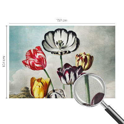 Tapeta fotograficzna samoprzylepna z kolorowymi tulipanami
