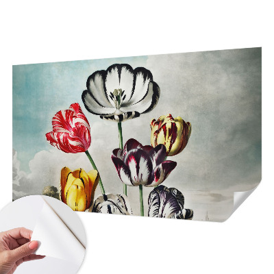 Tapeta fotograficzna samoprzylepna z kolorowymi tulipanami