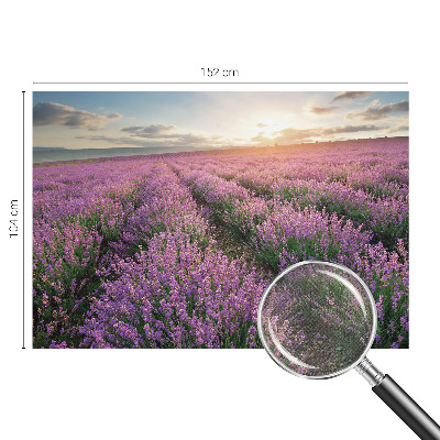 Tapeta fotograficzna samoprzylepna z motywem lawendowych pól