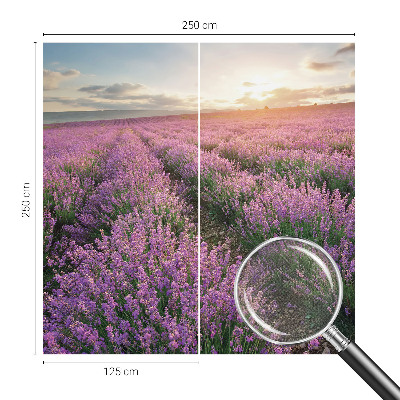 Tapeta fotograficzna samoprzylepna z motywem lawendowych pól