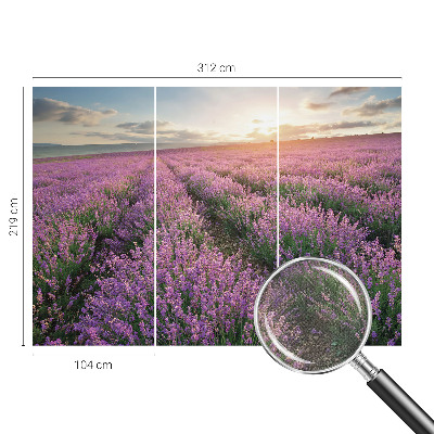 Tapeta fotograficzna samoprzylepna z motywem lawendowych pól