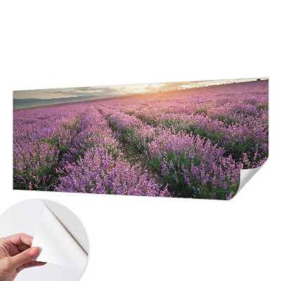 Tapeta fotograficzna samoprzylepna z motywem lawendowych pól