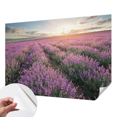 Tapeta fotograficzna samoprzylepna z motywem lawendowych pól