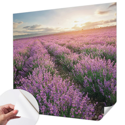 Tapeta fotograficzna samoprzylepna z motywem lawendowych pól