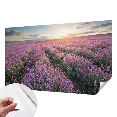 Tapeta fotograficzna samoprzylepna z motywem lawendowych pól