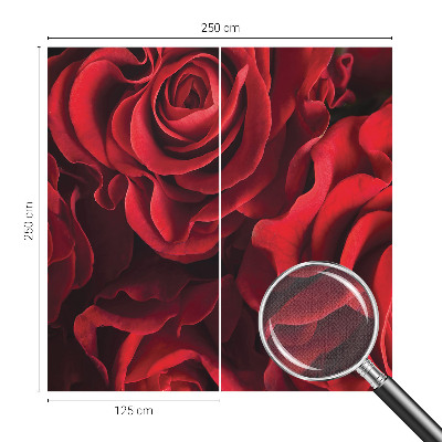 Nowoczesna fototapeta do salonu z czerwonymi różami
