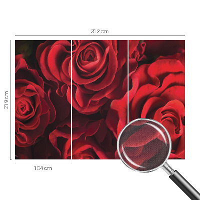 Nowoczesna fototapeta do salonu z czerwonymi różami