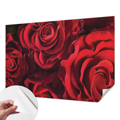 Nowoczesna fototapeta do salonu z czerwonymi różami