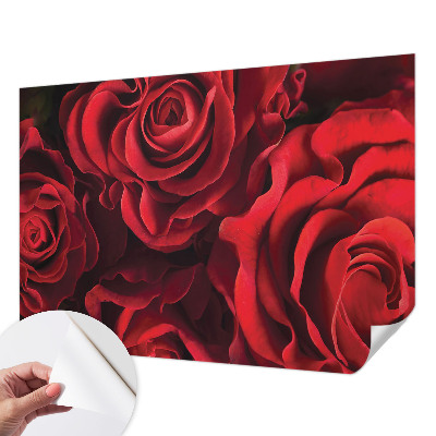 Nowoczesna fototapeta do salonu z czerwonymi różami