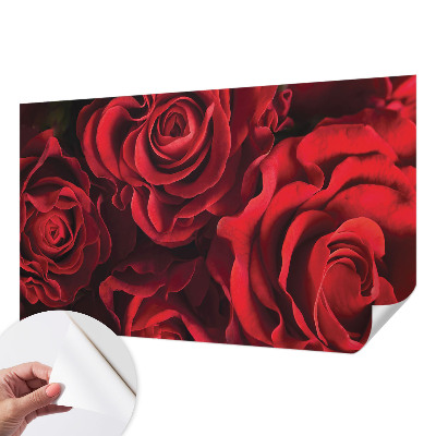 Nowoczesna fototapeta do salonu z czerwonymi różami