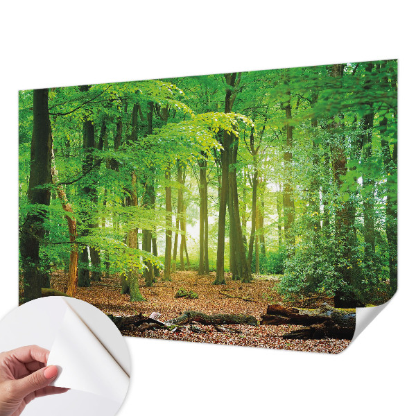 Dekoracyjna fototapeta na ścianę z motywem zielonego lasu