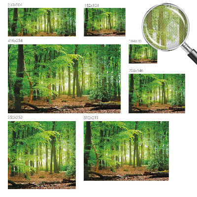 Dekoracyjna fototapeta na ścianę Dekoracyjna fototapeta na ścianę