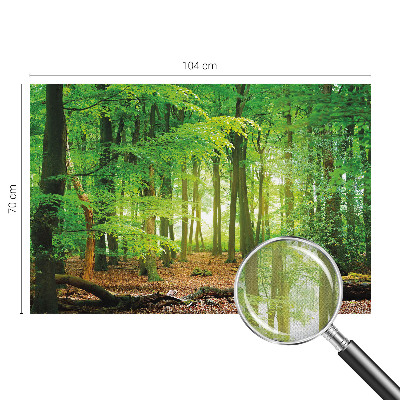 Dekoracyjna fototapeta na ścianę Dekoracyjna fototapeta na ścianę