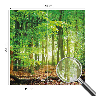 Dekoracyjna fototapeta na ścianę Dekoracyjna fototapeta na ścianę