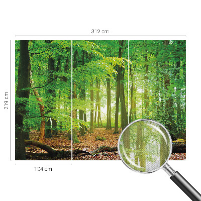 Dekoracyjna fototapeta na ścianę Dekoracyjna fototapeta na ścianę