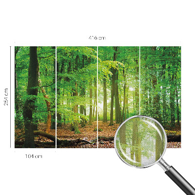 Dekoracyjna fototapeta na ścianę Dekoracyjna fototapeta na ścianę