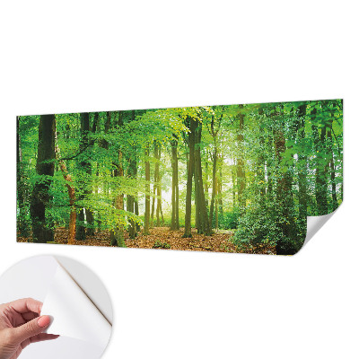 Dekoracyjna fototapeta na ścianę z motywem zielonego lasu