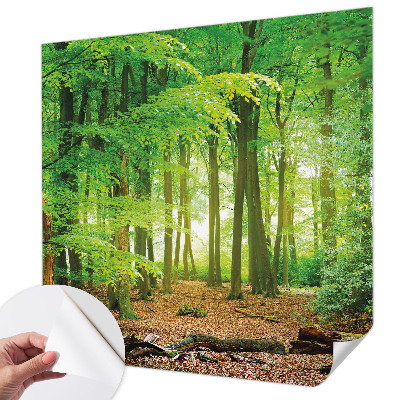 Dekoracyjna fototapeta na ścianę z motywem zielonego lasu
