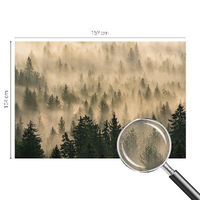 Nowoczesna fototapeta do salonu z motywem leśnej mgły