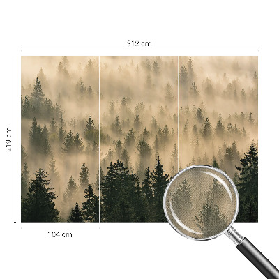 Nowoczesna fototapeta do salonu z motywem leśnej mgły