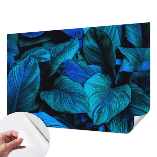 Fototapeta na ścianę Fototapeta na ścianę